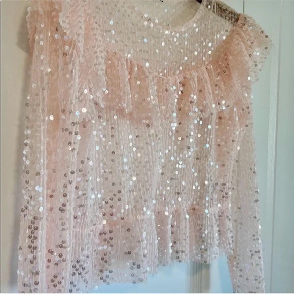 Zara Petal Pink Sequin Ruffle Blouse Medium Party Date Holidays - Picture 3 of 8